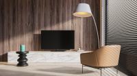 Loewe bild 3.49 basalt grey