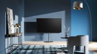 Loewe bild v65 dr