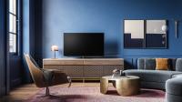 Loewe bild v55 dr