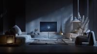 Loewe_stellar_ parallel viewing and recording