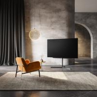 Loewe_bild_s_77_1