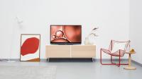 Loewe bild 2.43
