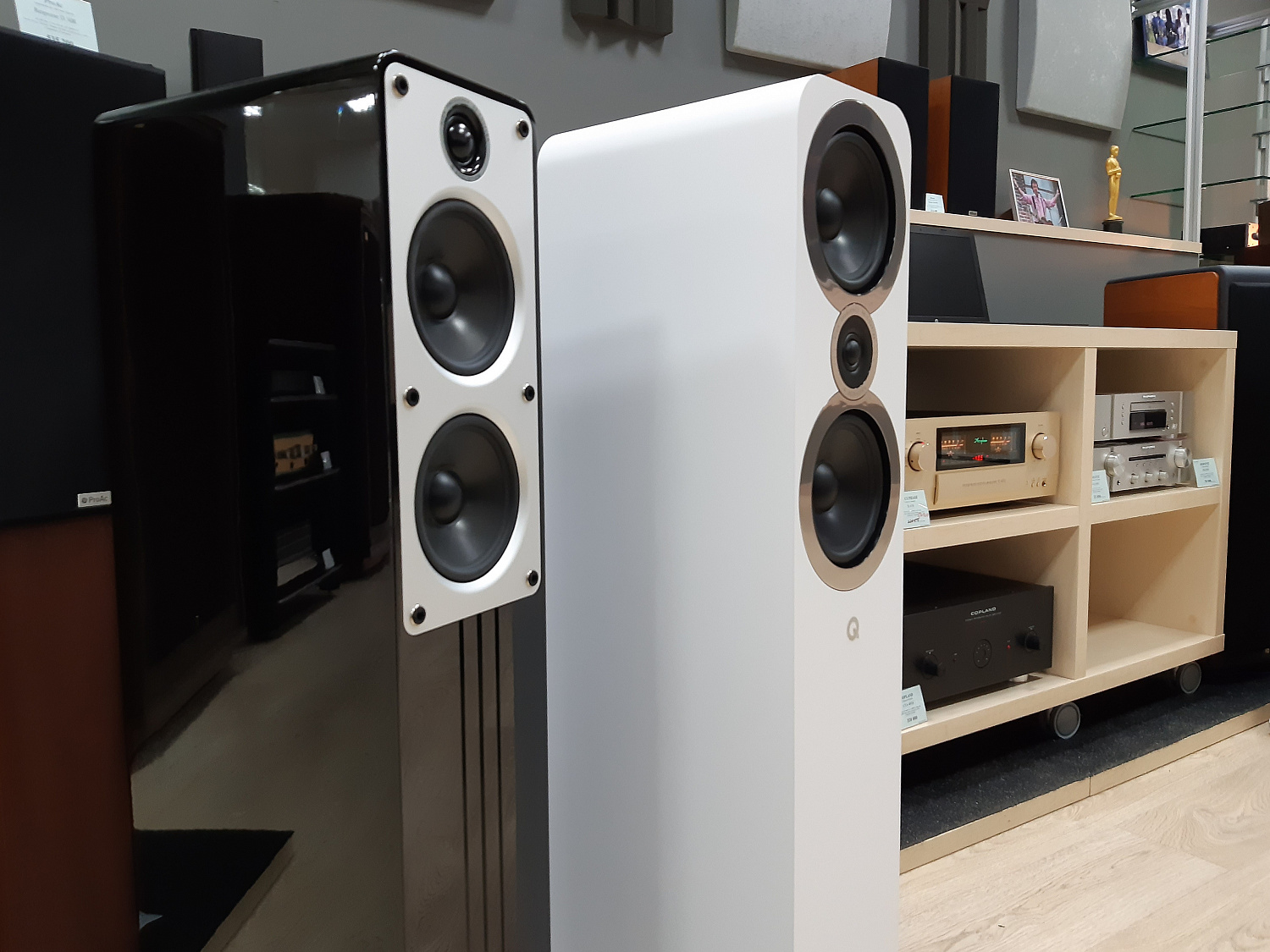 Q Acoustics в салоне ДАТ