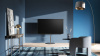 Loewe bild v65 dr