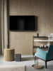 Loewe_bild3_49_1
