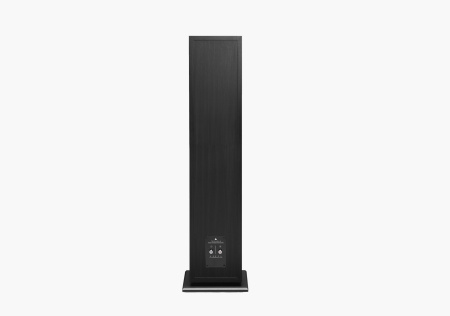 Triangle BOREA BR07 Black Ash напольная акустика_5