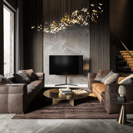 Loewe_bild_s_77_3