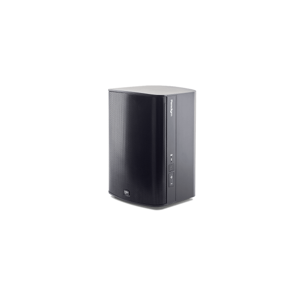 Paradigm PW 300 Black_1
