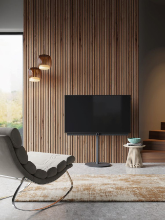 Loewe_bild3_49