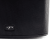 Paradigm PW 300 Black_6