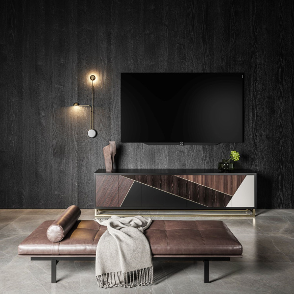 Loewe_bild_s_77_2
