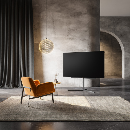 Loewe_bild_s_77_1