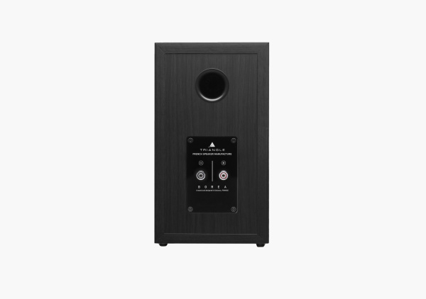 Triangle BOREA BR02 Black Ash полочная акустика_4